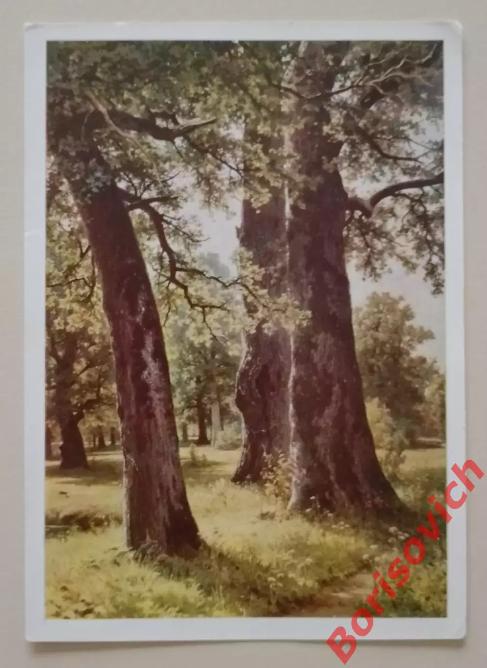 И. И. Шишкин Дубы