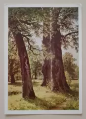 И. И. Шишкин Дубы