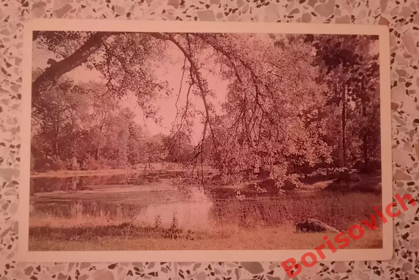 Город Ломоносов Верхний пруд