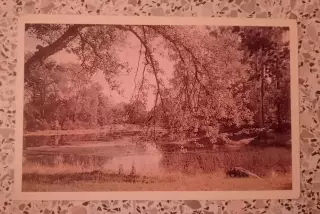 Город Ломоносов Верхний пруд