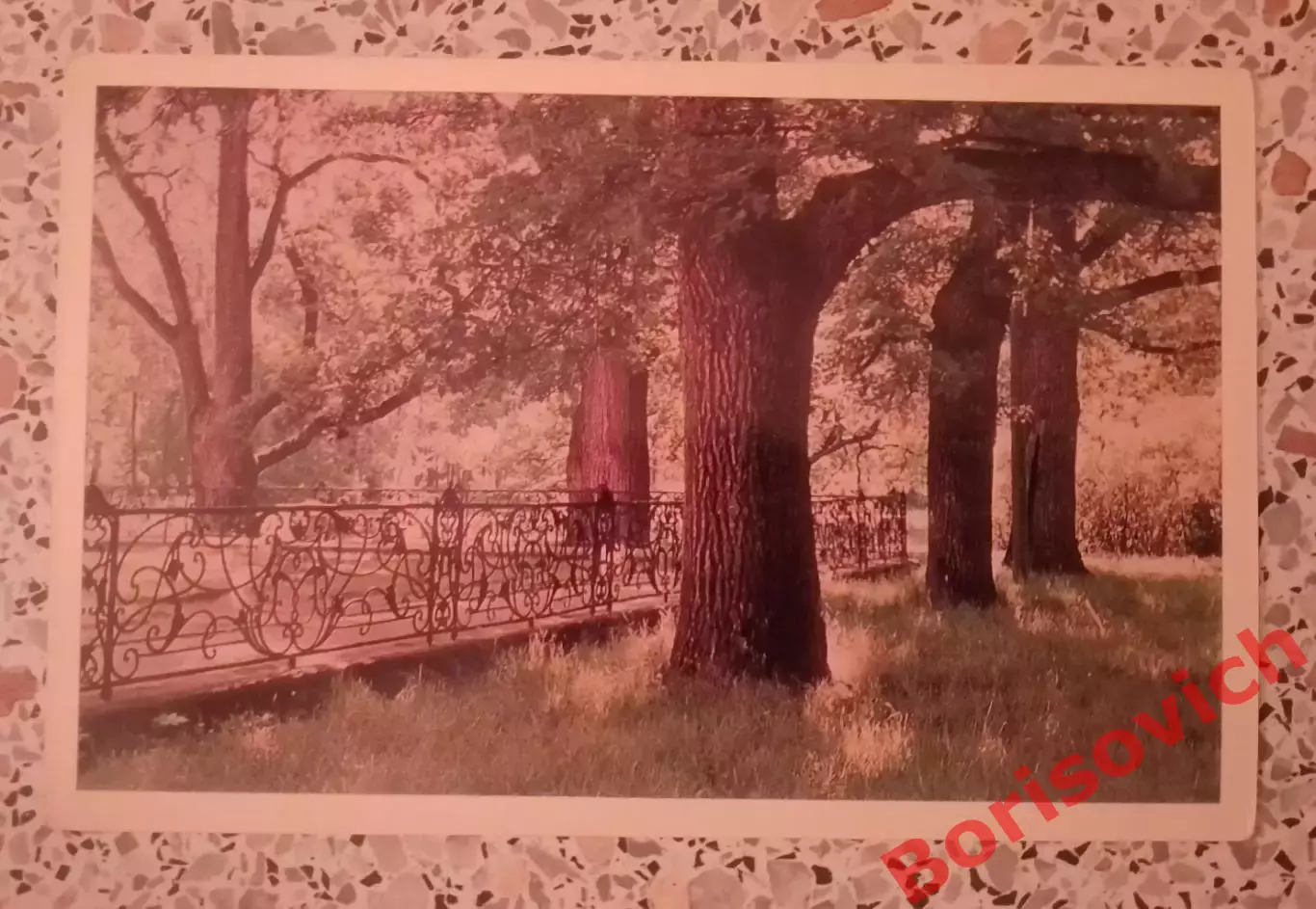 Город Ломоносов Решётка Китайского садика