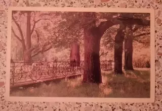 Город Ломоносов Решётка Китайского садика