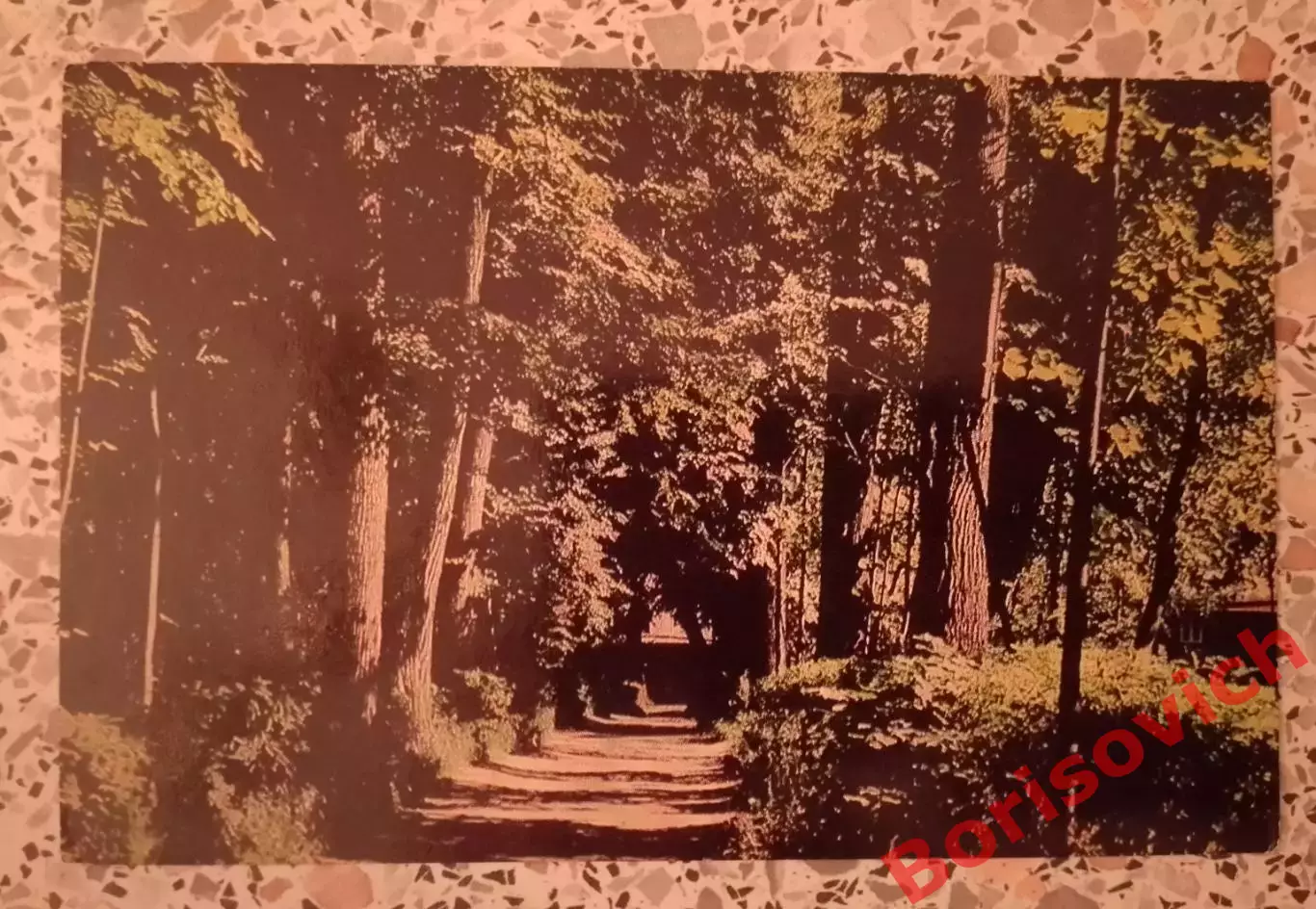 Абрамцево Гоголевская аллея 1977