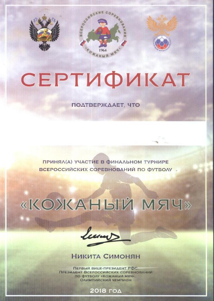 Сертификат участника финального турнира Кожаный мяч