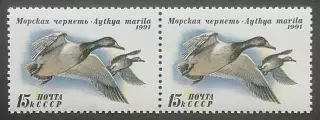 СССР 1991. Утки. Морская чернеть. Пара. 1