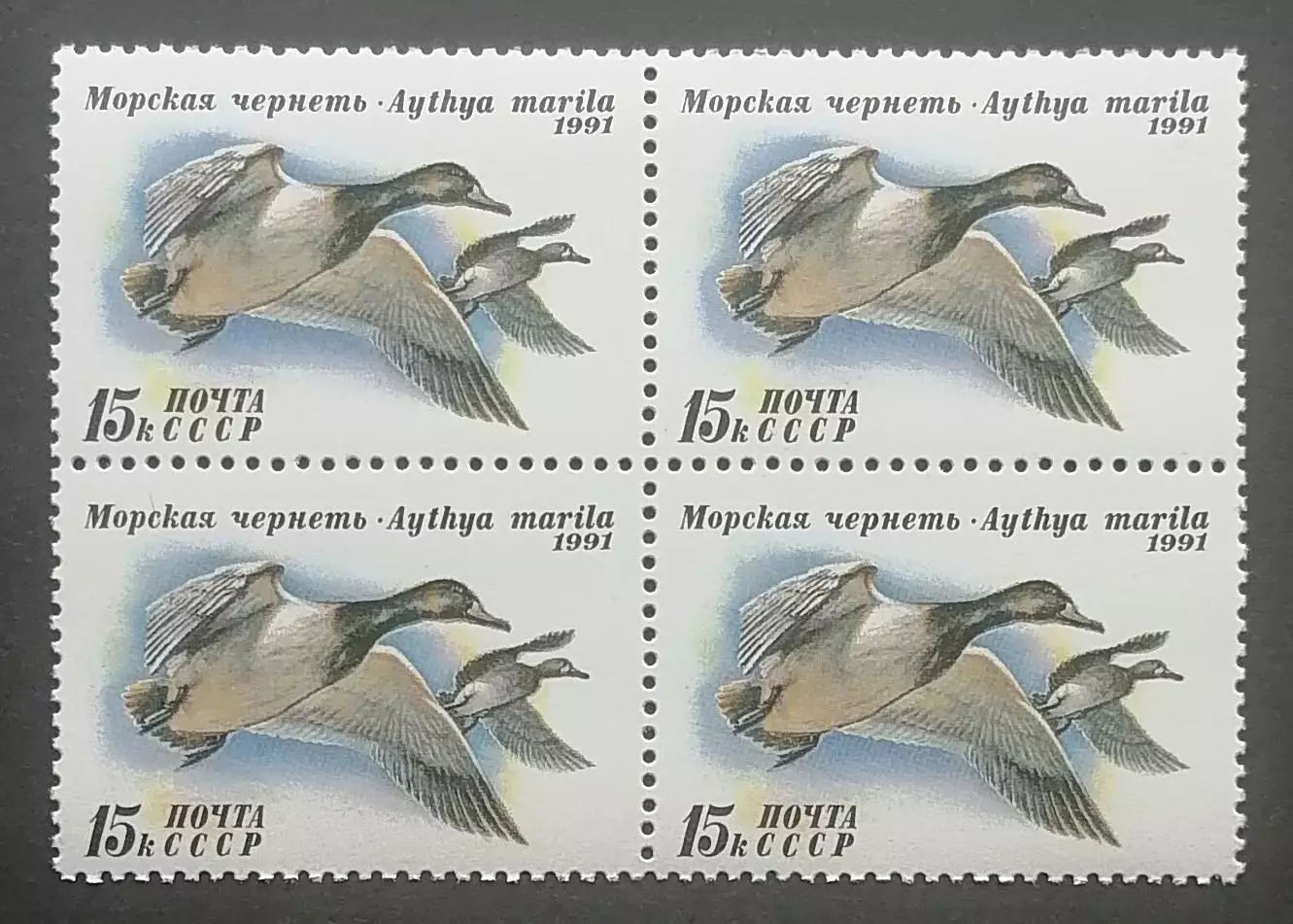 СССР 1991. Утки. Морская чернеть. Квартблок.