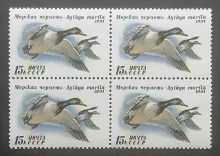 СССР 1991. Утки. Морская чернеть. Квартблок.