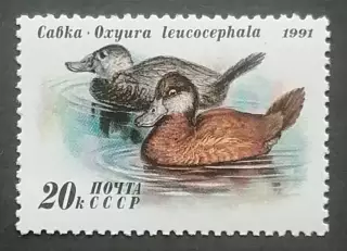 СССР 1991. Утки. Савка.