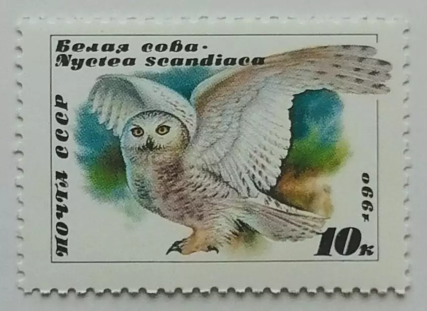 СССР 1990. Совы. Белая сова.
