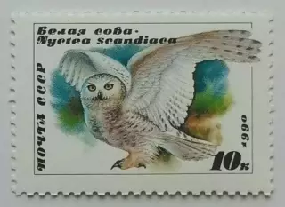 СССР 1990. Совы. Белая сова.