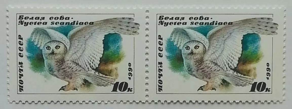 СССР 1990. Совы. Белая сова. Пара. 1