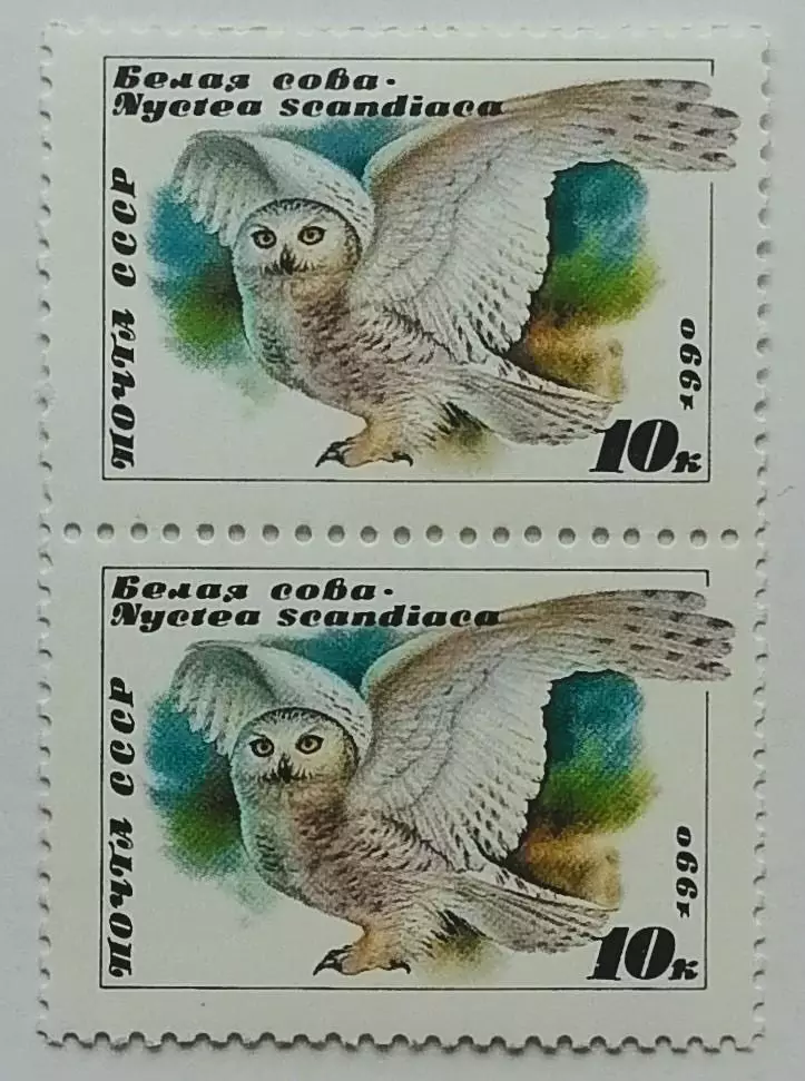 СССР 1990. Совы. Белая сова. Пара. 2