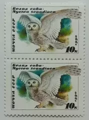 СССР 1990. Совы. Белая сова. Пара. 2