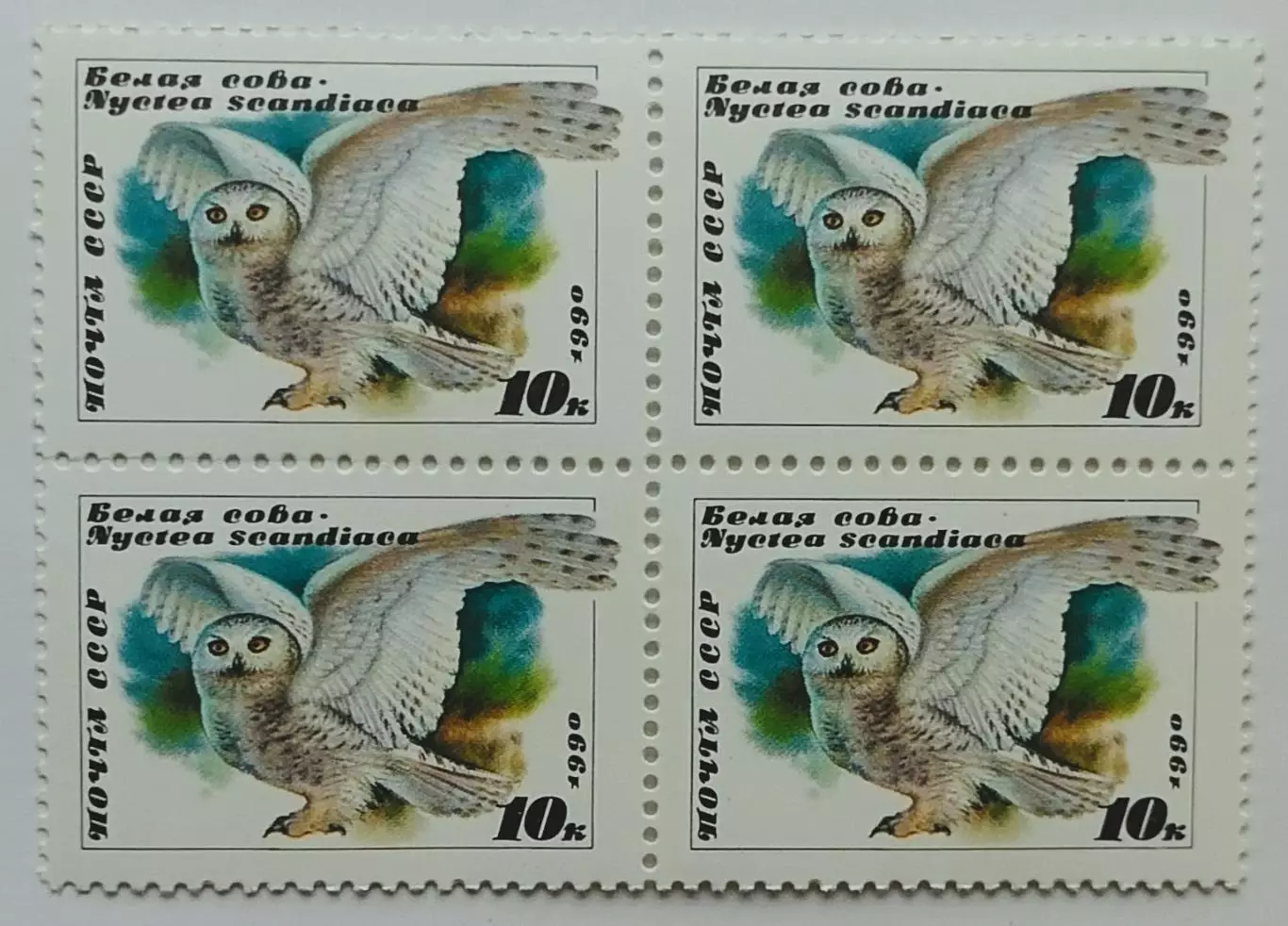 СССР 1990. Совы. Белая сова. Квартблок.