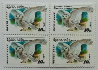 СССР 1990. Совы. Белая сова. Квартблок.