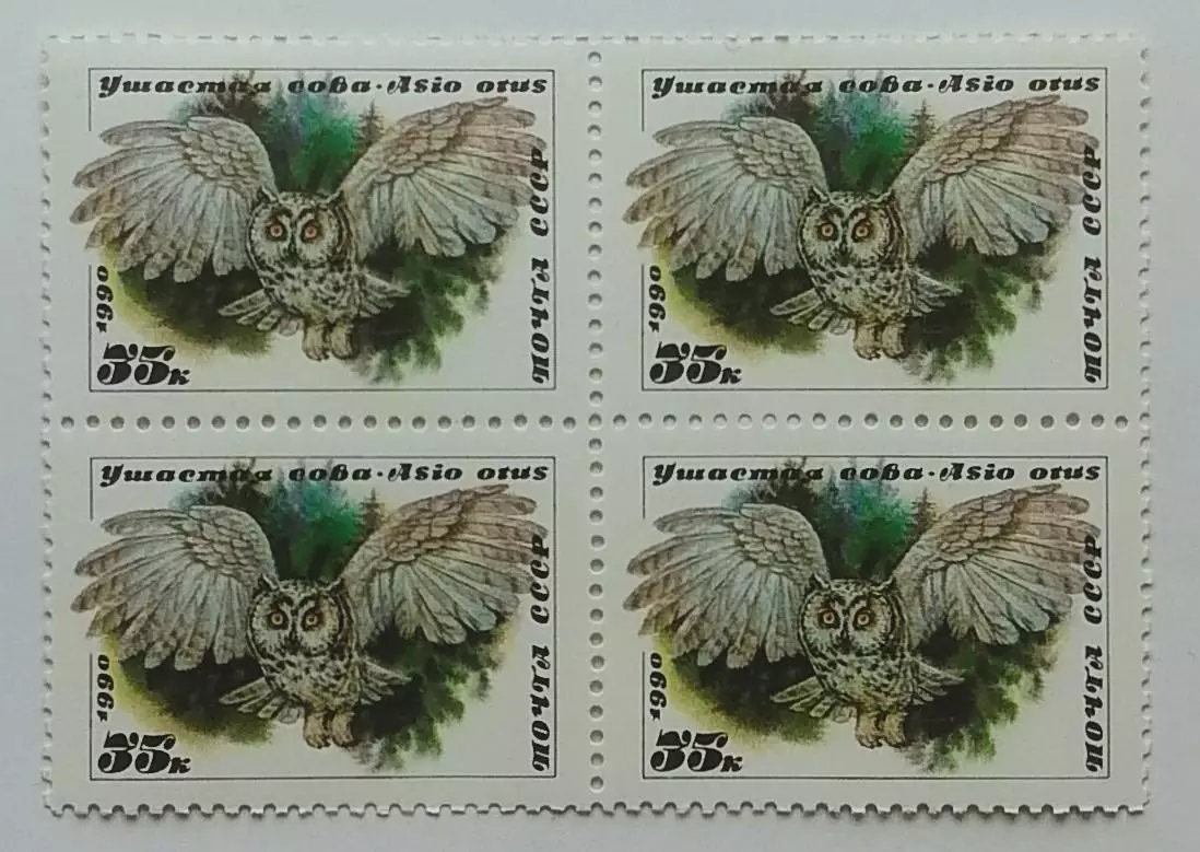 СССР 1990. Совы. Ушастая сова. Квартблок.
