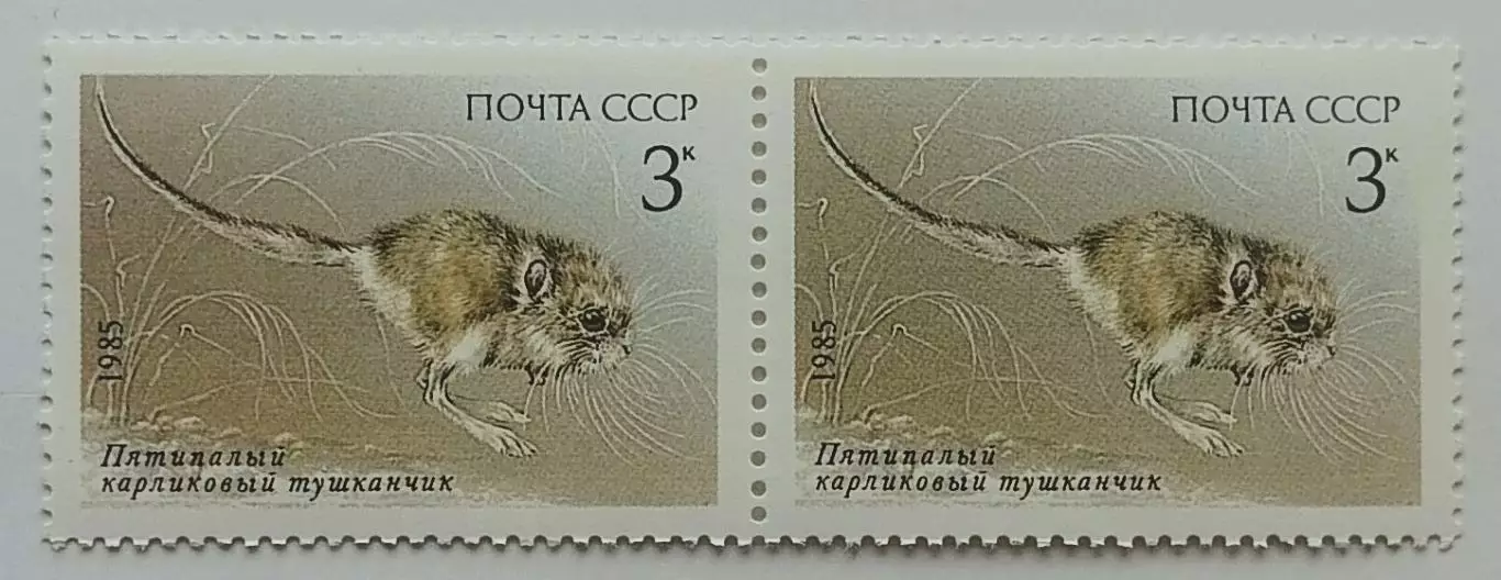 СССР 1985. Животные Красной книги СССР. Тушканчик. Пара. 1