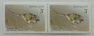 СССР 1985. Животные Красной книги СССР. Тушканчик. Пара. 1