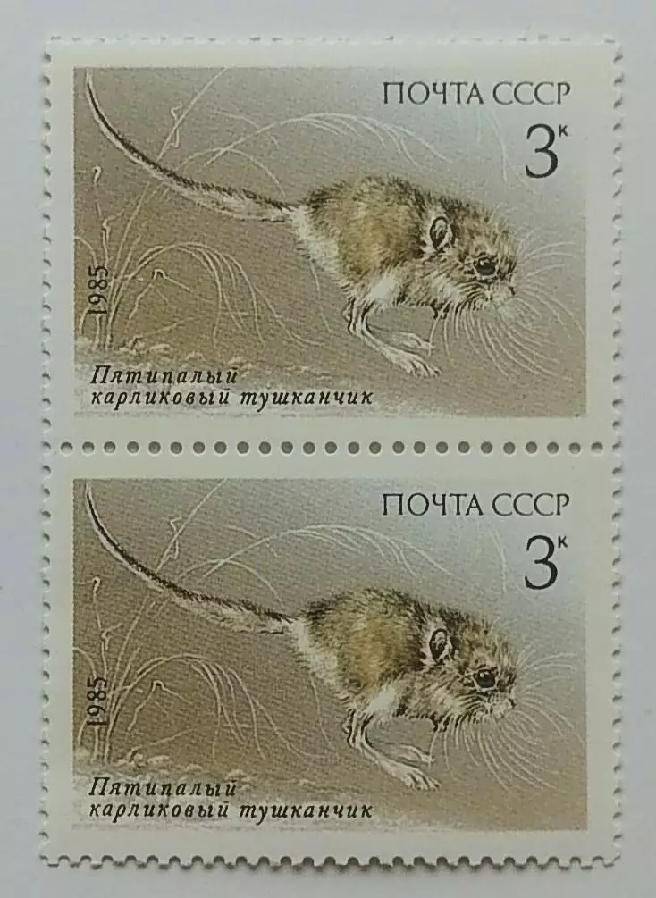 СССР 1985. Животные Красной книги СССР. Тушканчик. Пара. 2