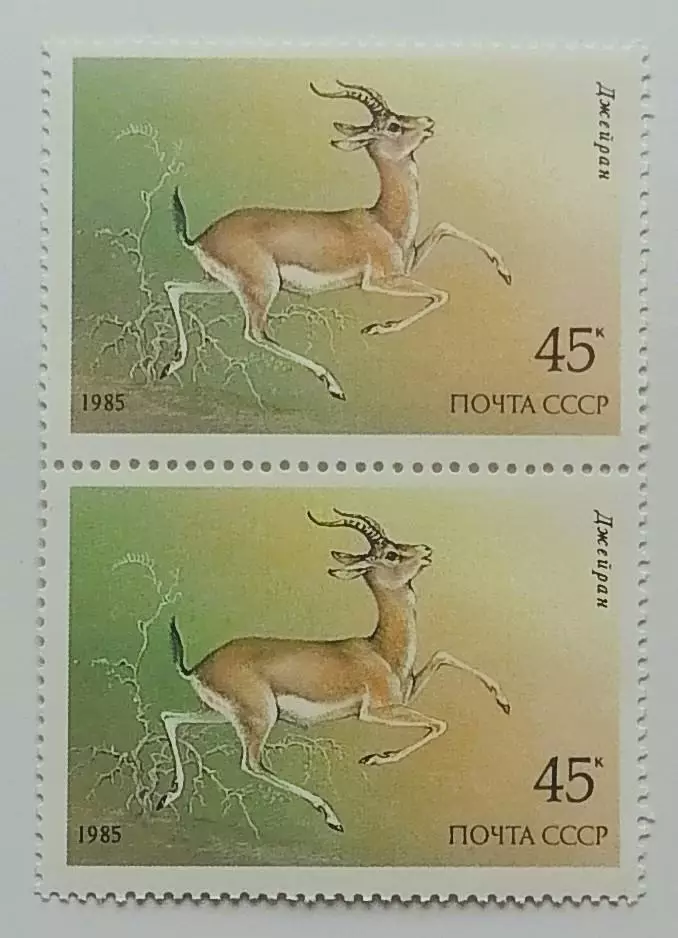 СССР 1985. Животные Красной книги СССР. Джейран. Пара. 2