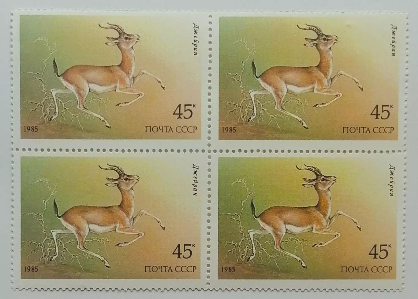 СССР 1985. Животные Красной книги СССР. Джейран. Квартблок.