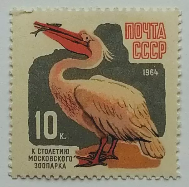 СССР 1964. 100-летие Московcкого зоопарка. Пеликан.