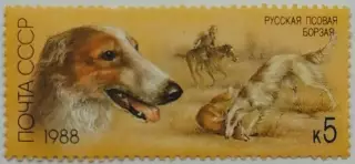 СССР 1988. Отечественные породы охотничьих собак. Русская борзая.