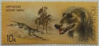 СССР 1988. Отечественные породы охотничьих собак. Киргизская борзая тайган.