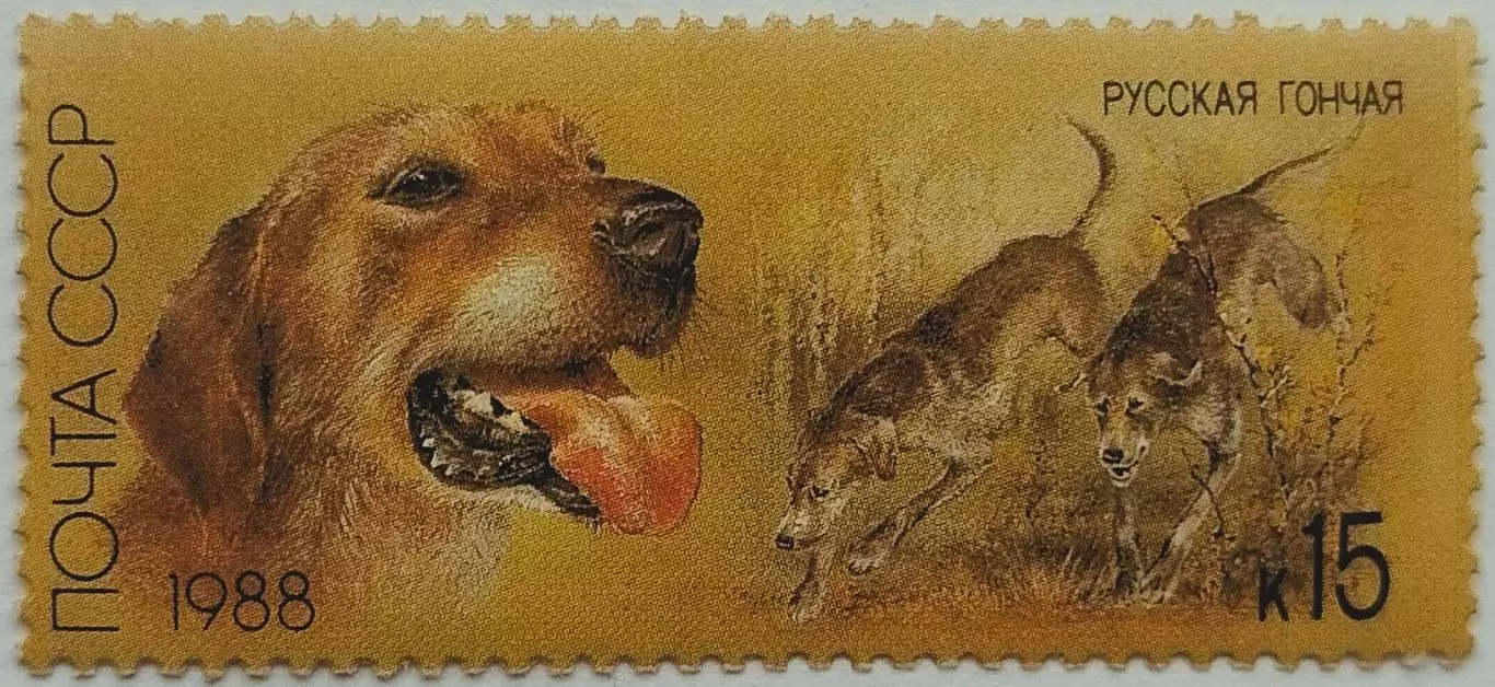 СССР 1988. Отечественные породы охотничьих собак. Русская гончая.