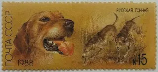 СССР 1988. Отечественные породы охотничьих собак. Русская гончая.