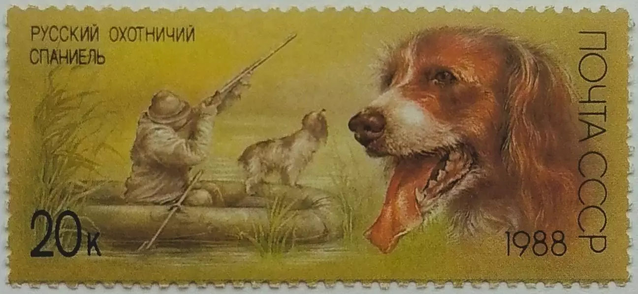 СССР 1988. Отечественные породы охотничьих собак. Русский спаниель.