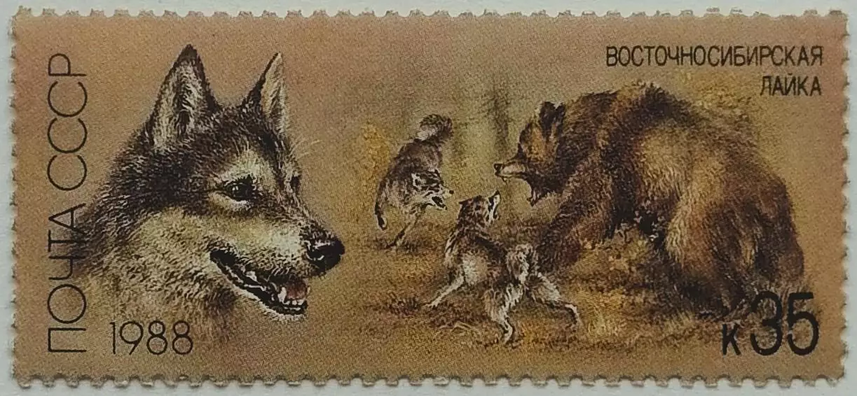 СССР 1988. Отечественные породы охотничьих собак. Восточно-сибирская лайка.