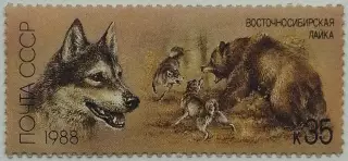 СССР 1988. Отечественные породы охотничьих собак. Восточно-сибирская лайка.