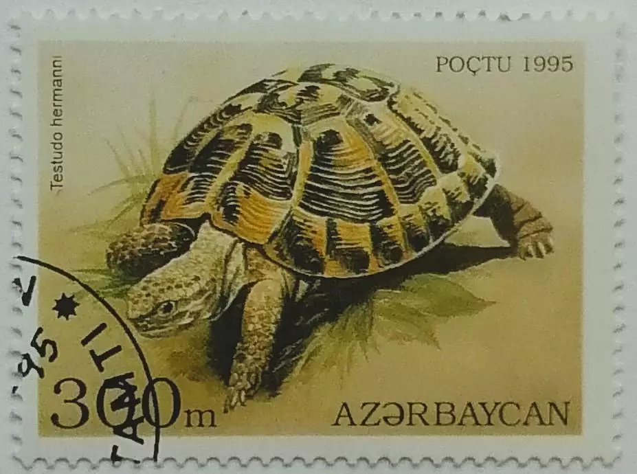 Азербайджан 1995. Черепаха