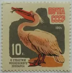 СССР 1964. 100-летие Московcкого зоопарка. Пеликан.