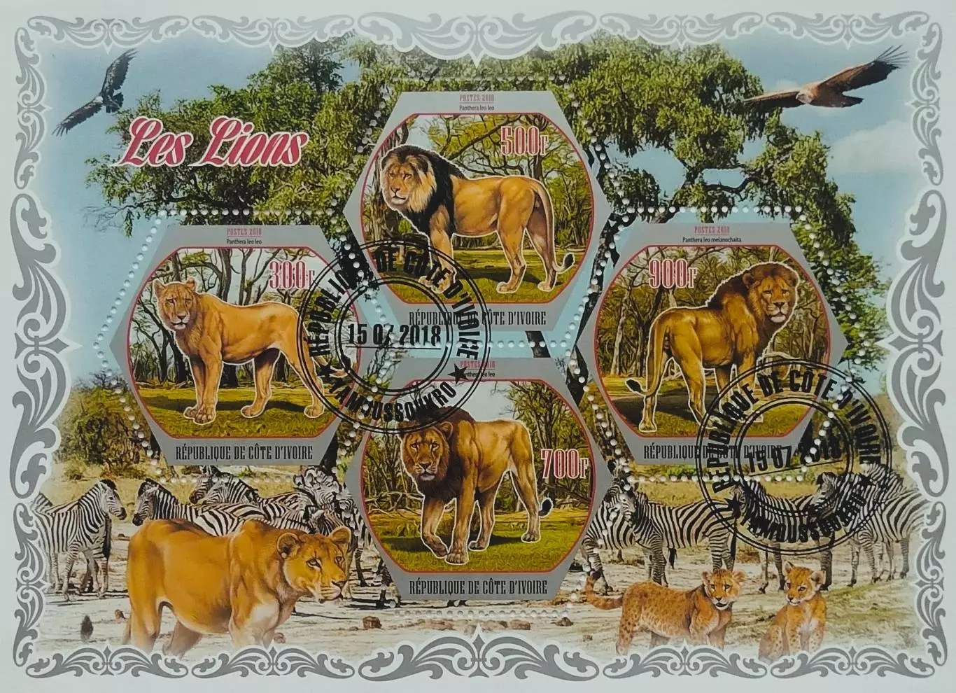 Малый лист. Кот-д’Ивуар 2018. Фауна. Животные Африки. Львы.