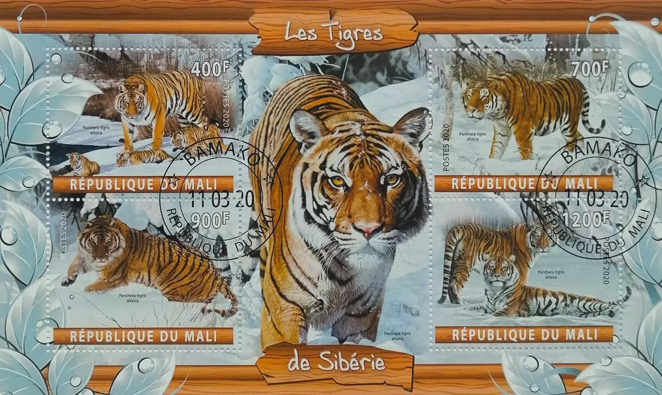 Малый лист. Мали 2020. Фауна. Амурский тигр.