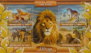 Малый лист. Мали 2020. Фауна. Животные Африки. Львы.
