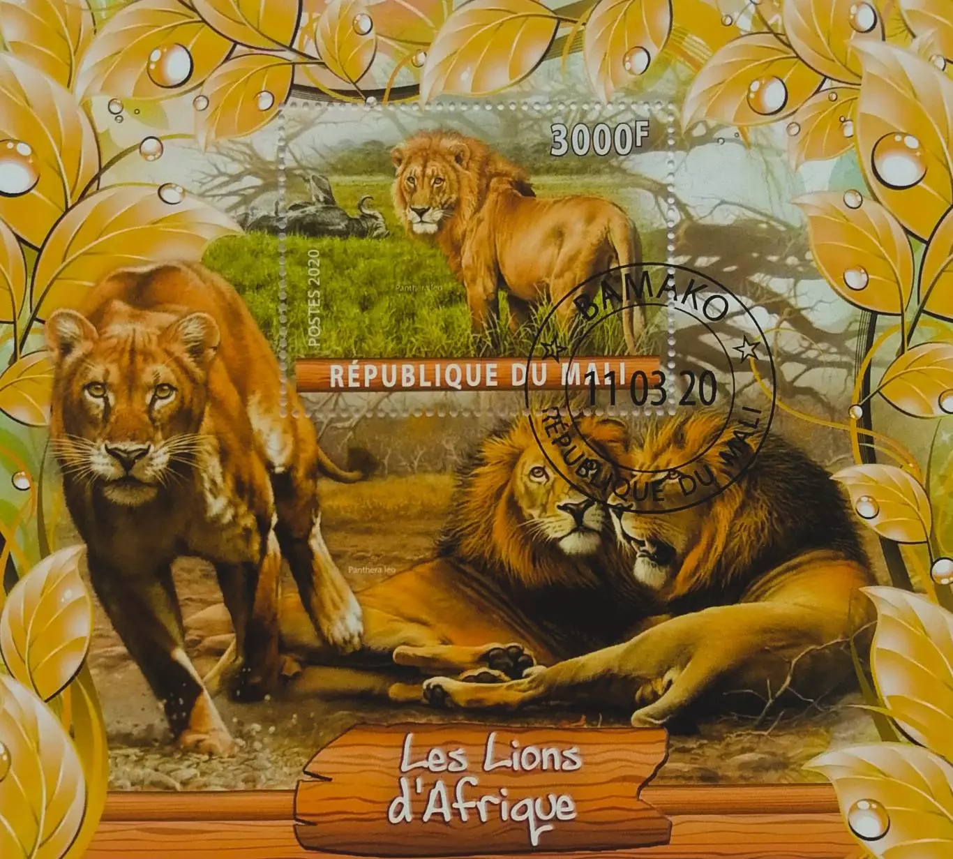 Блок. Мали 2020. Фауна. Животные Африки. Львы.