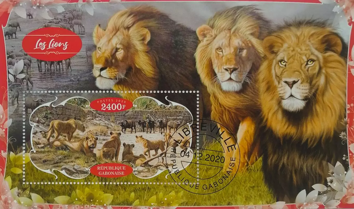 Блок. Габон 2020. Фауна. Животные Африки. Львы.
