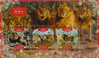 Малый лист. Габон 2020. Фауна. Животные Африки. Львы.