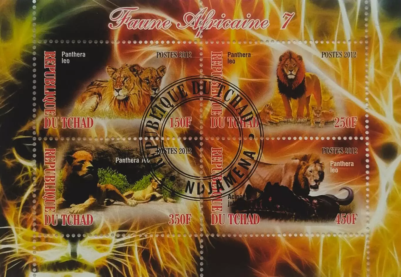 Малый лист. Чад 2012. Фауна. Животные Африки. Львы.
