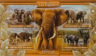 Малый лист. Мали 2020. Фауна. Животные Африки. Слоны.