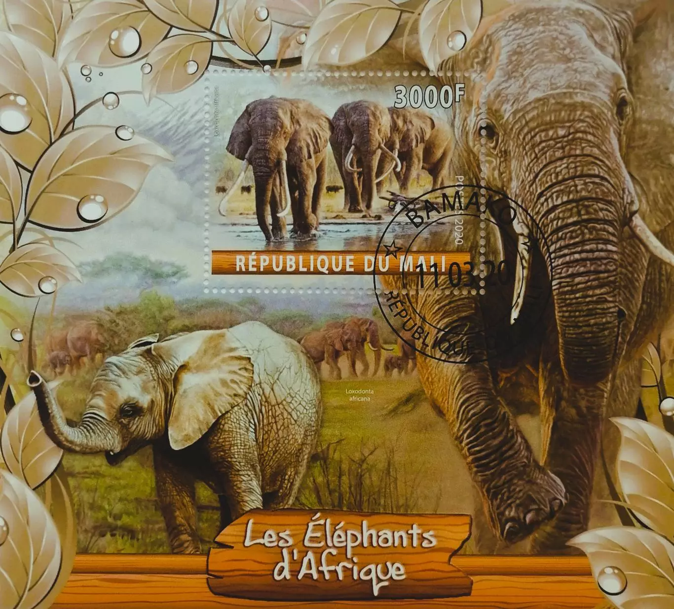 Блок. Мали 2020. Фауна. Животные Африки. Слоны.
