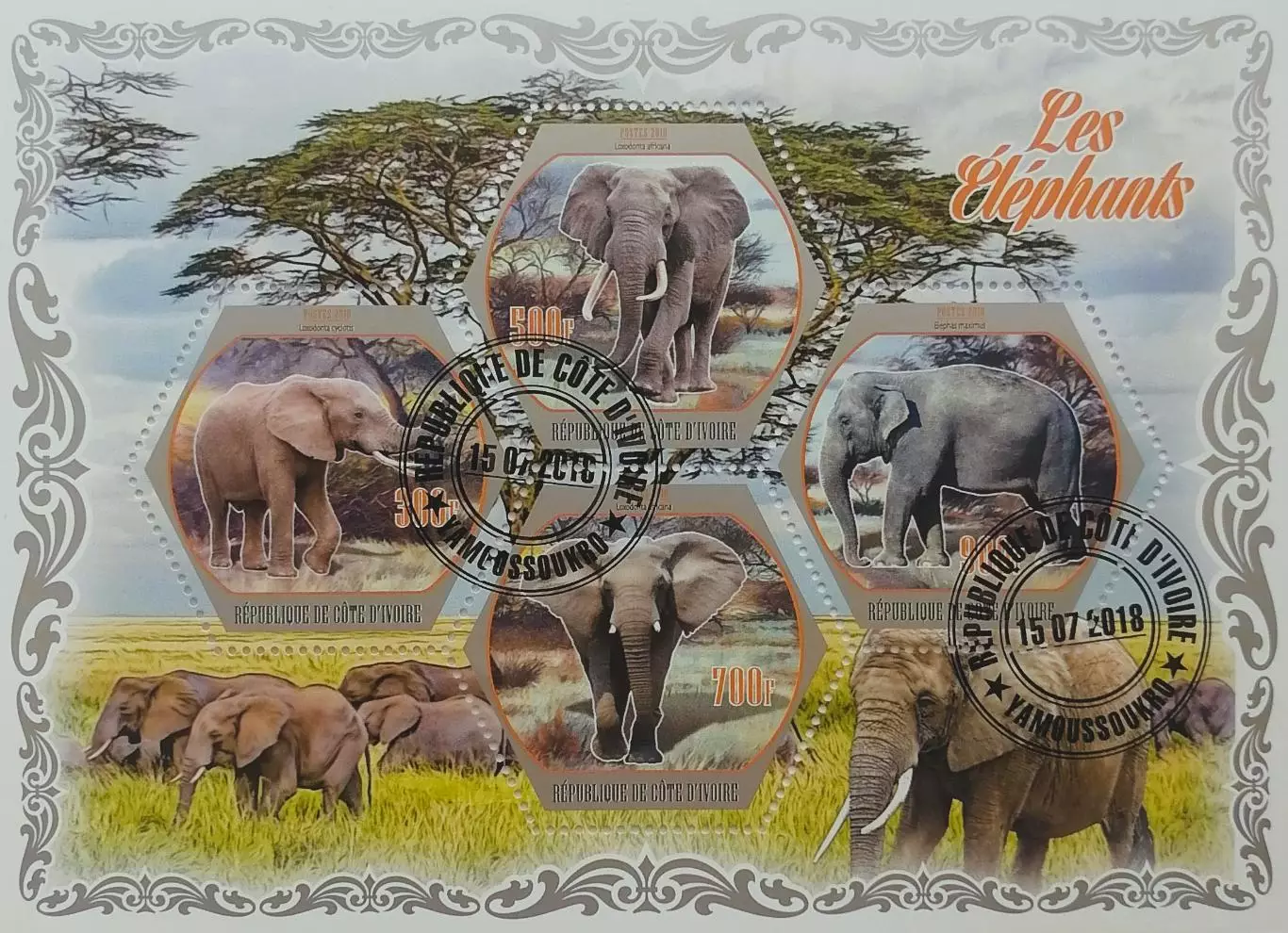 Малый лист. Кот-д’Ивуар 2018. Фауна. Животные Африки. Слоны.