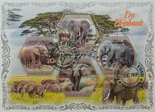 Малый лист. Кот-д’Ивуар 2018. Фауна. Животные Африки. Слоны.