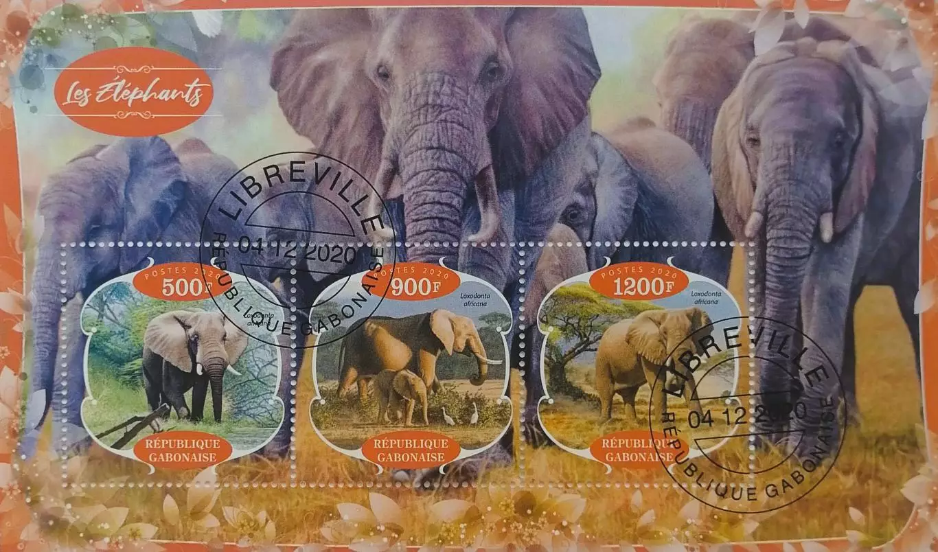 Малый лист. Габон 2020. Фауна. Животные Африки. Слоны.