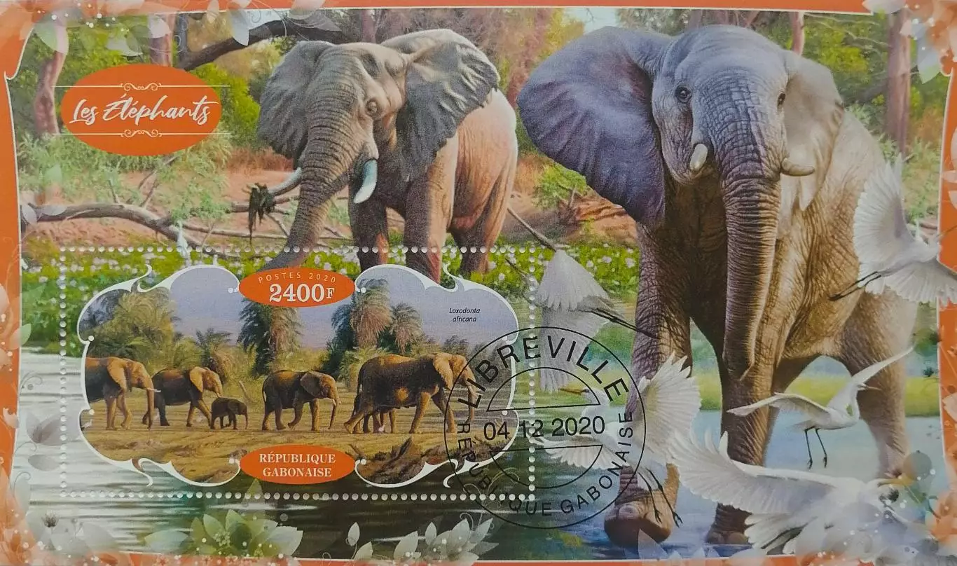 Блок. Габон 2020. Фауна. Животные Африки. Слоны.