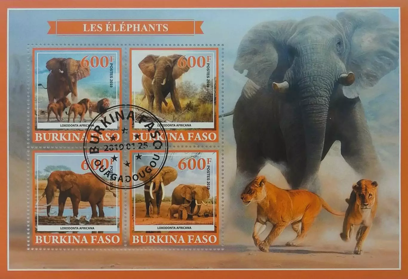 Малый лист. Буркино-Фасо 2019. Фауна. Животные Африки. Слоны.
