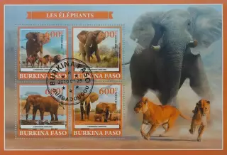 Малый лист. Буркино-Фасо 2019. Фауна. Животные Африки. Слоны.